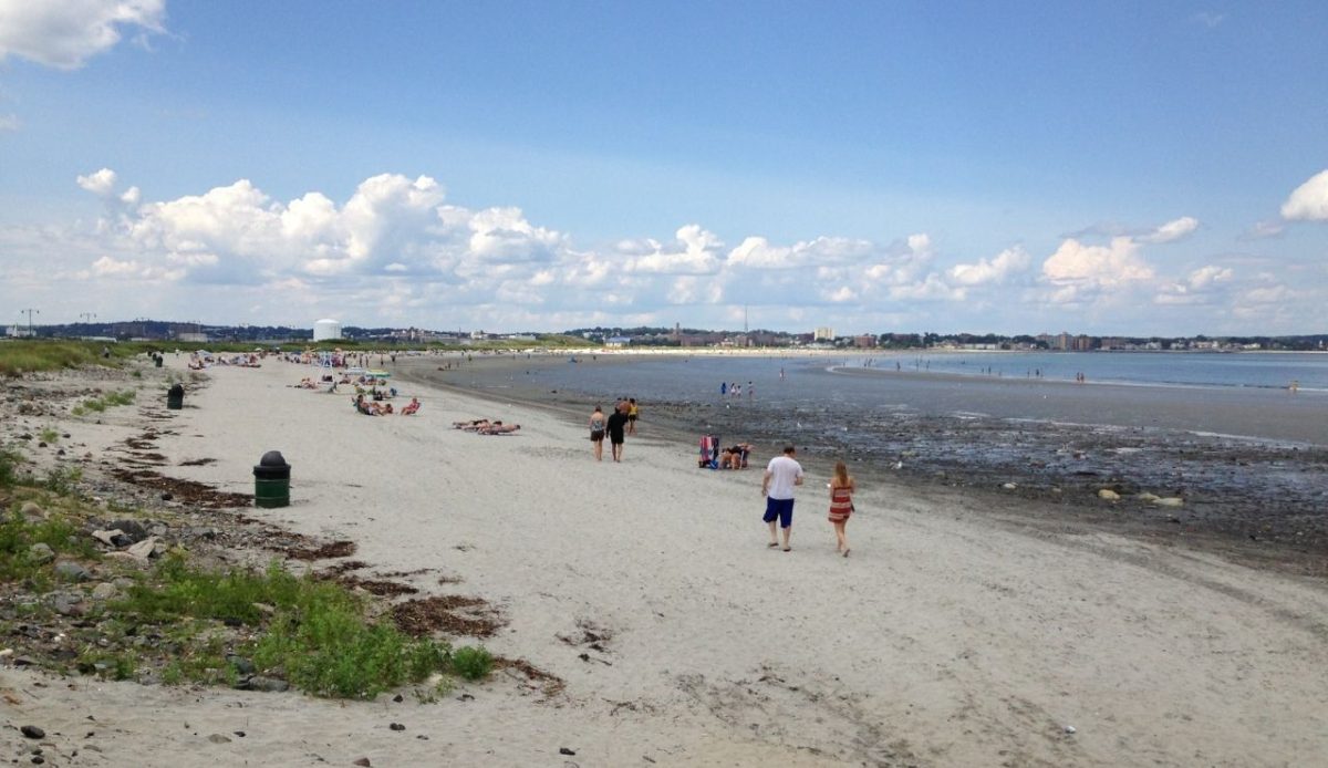 Nahant Beach, Nahant                          