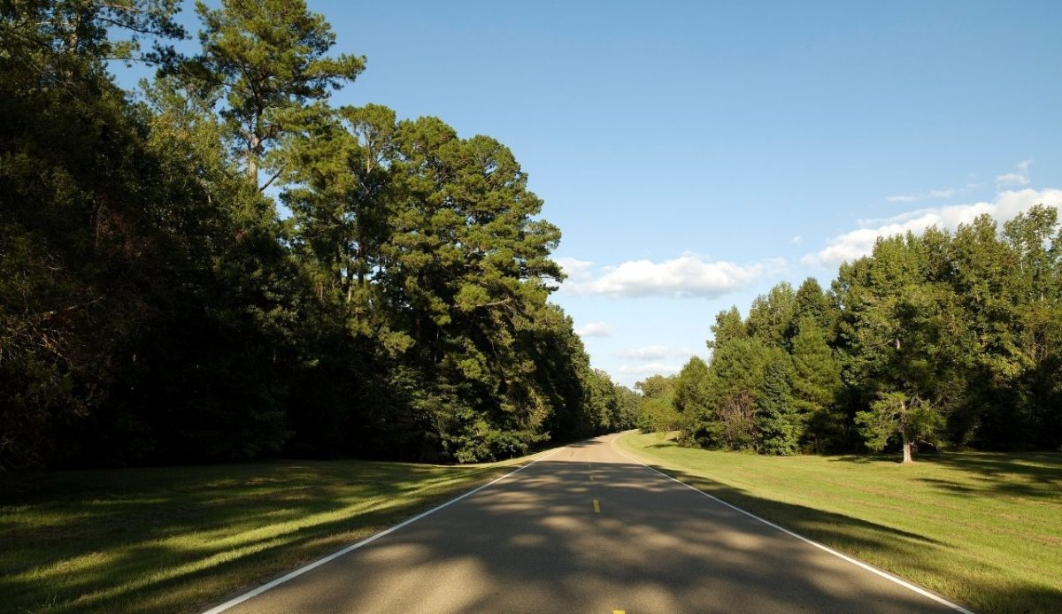 Natchez Trace Parkway                           