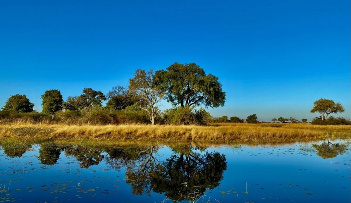 Okavango Delta, Botswana                          