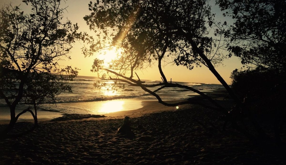 Playa Negra, Costa Rica                         