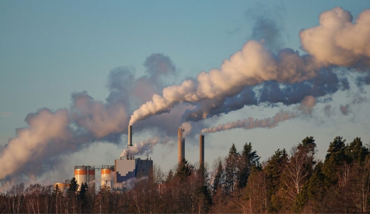 Smoke rising towards the sky from the chimneys of a paper mill  polluting the air              