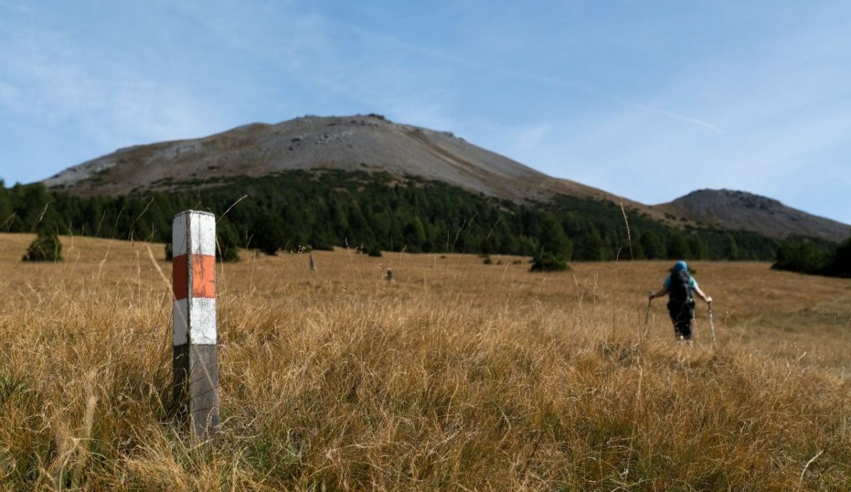 Swiss National Park, Zernez, Switzerland                    