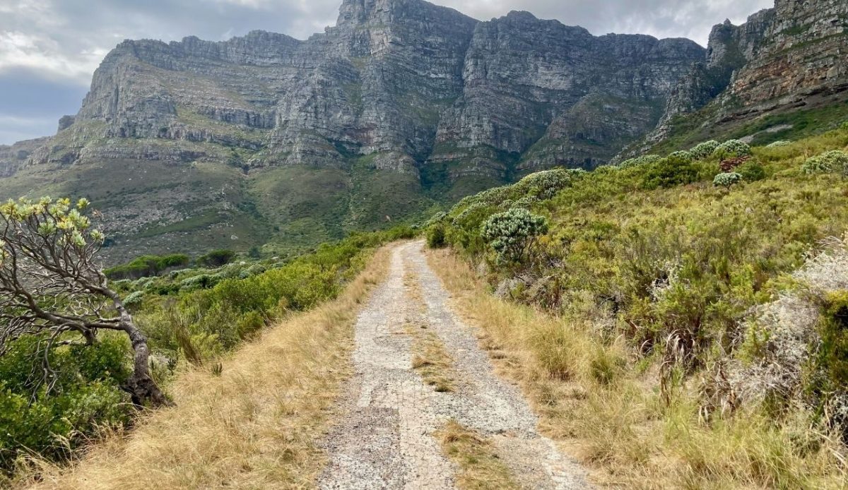 Table Mountain National Park Hiking Routes                              