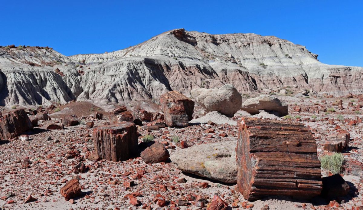 Petrified Forest National Park, Arizona