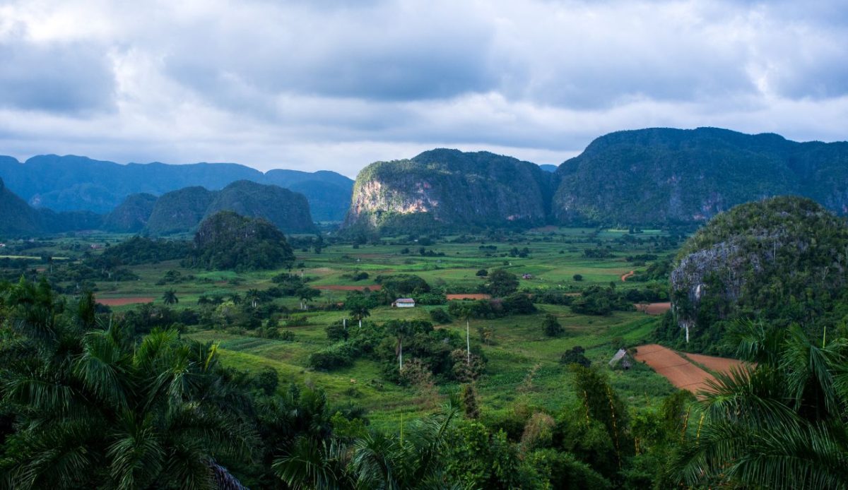 Rich, Global-Famous Cigars & Tobacco Heritage