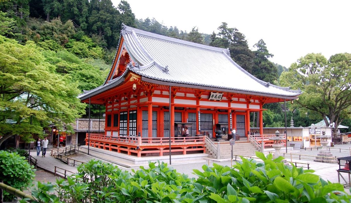 Overlooking Local Experiences