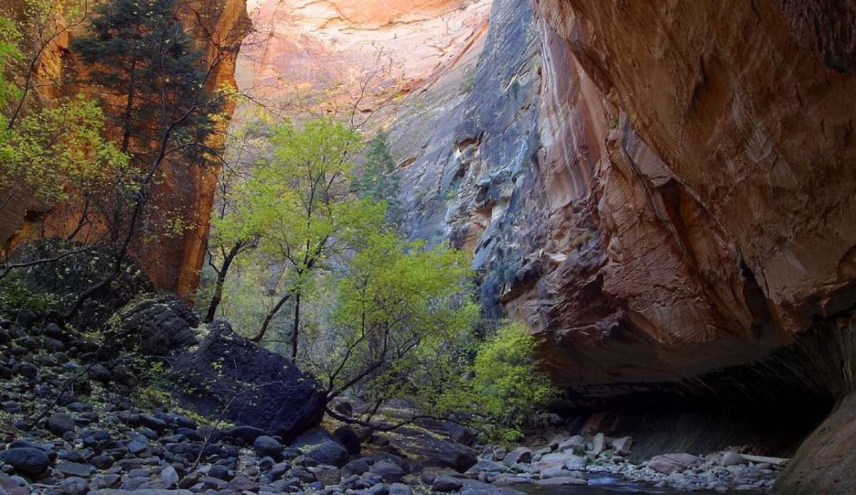 The Narrows, Zion National Park, USA