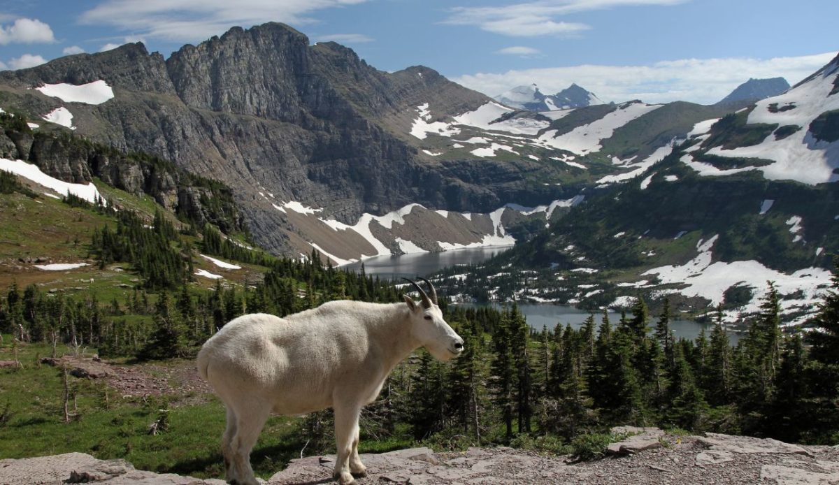 10 National Parks Where Reservations Ruin Spontaneous Trips 4 Glacier National Park