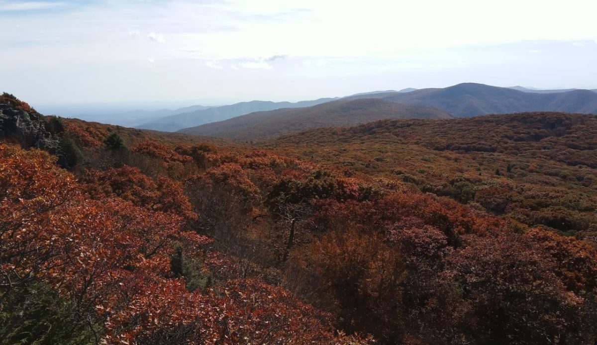 10 National Parks Likely Requiring Entry Reservations in 2026 1