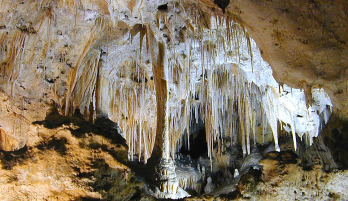 10 National Parks Likely Requiring Entry Reservations in 2026 2