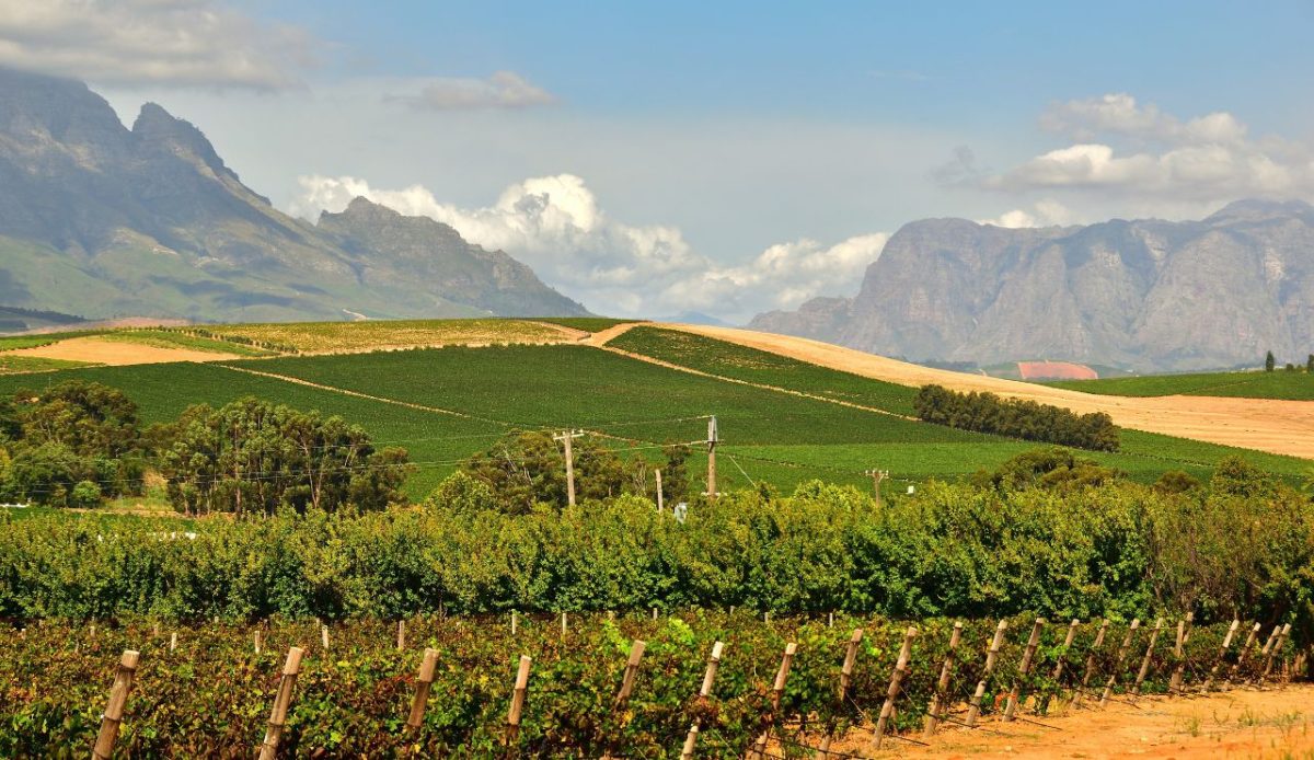 Stellenbosch, South Africa