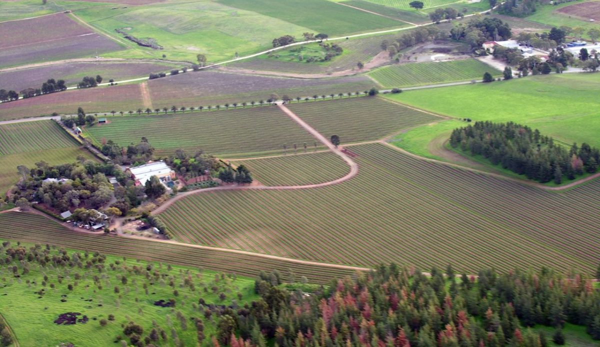 11 Underrated Wine Regions That Rival Europe’s Best 1