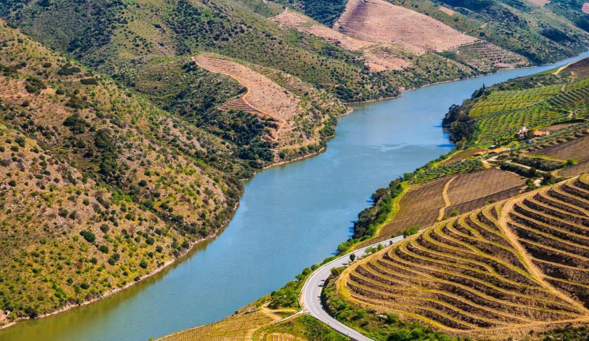 11 Underrated Wine Regions That Rival Europe’s Best 2