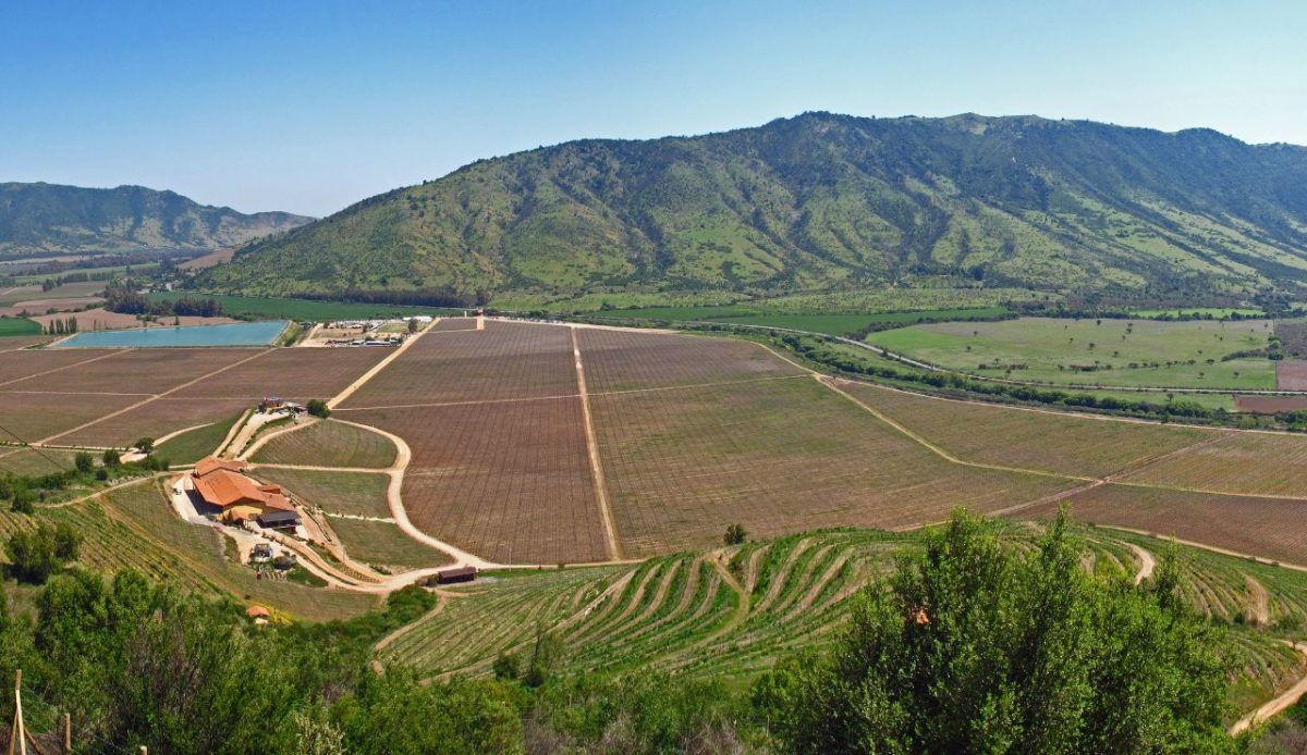 Colchagua Valley, Chile