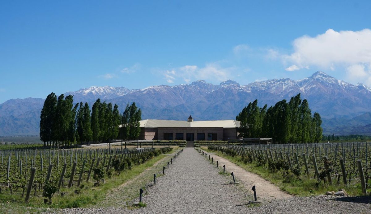  Mendoza Alternative, Valle de Uco, Argentina