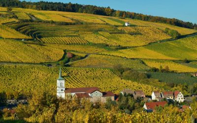 11 Underrated Wine Regions That Rival Europe’s Best
