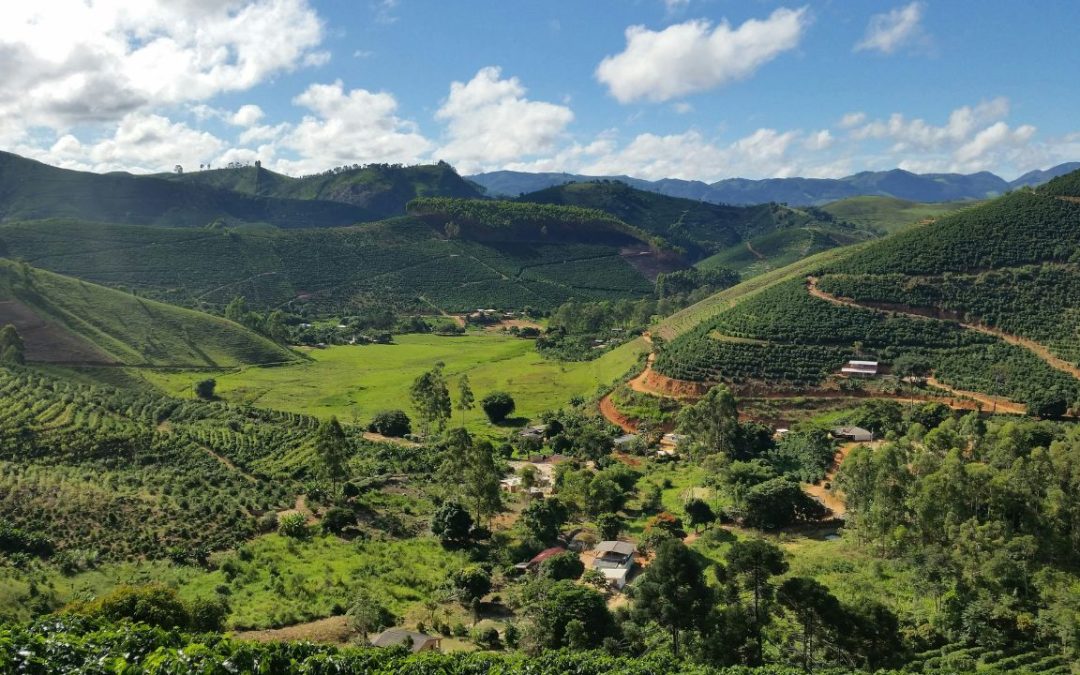 11 Countries With the Best Coffee in the World