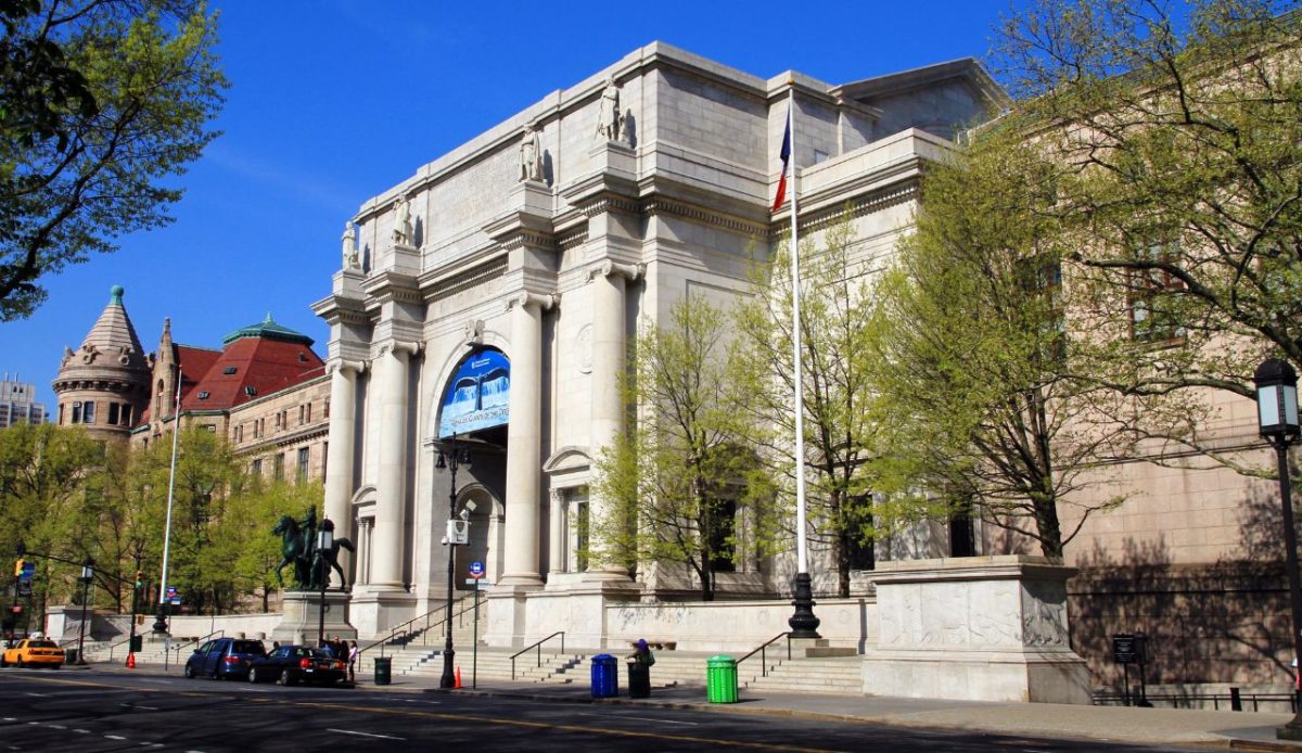Visit the American Museum of Natural History