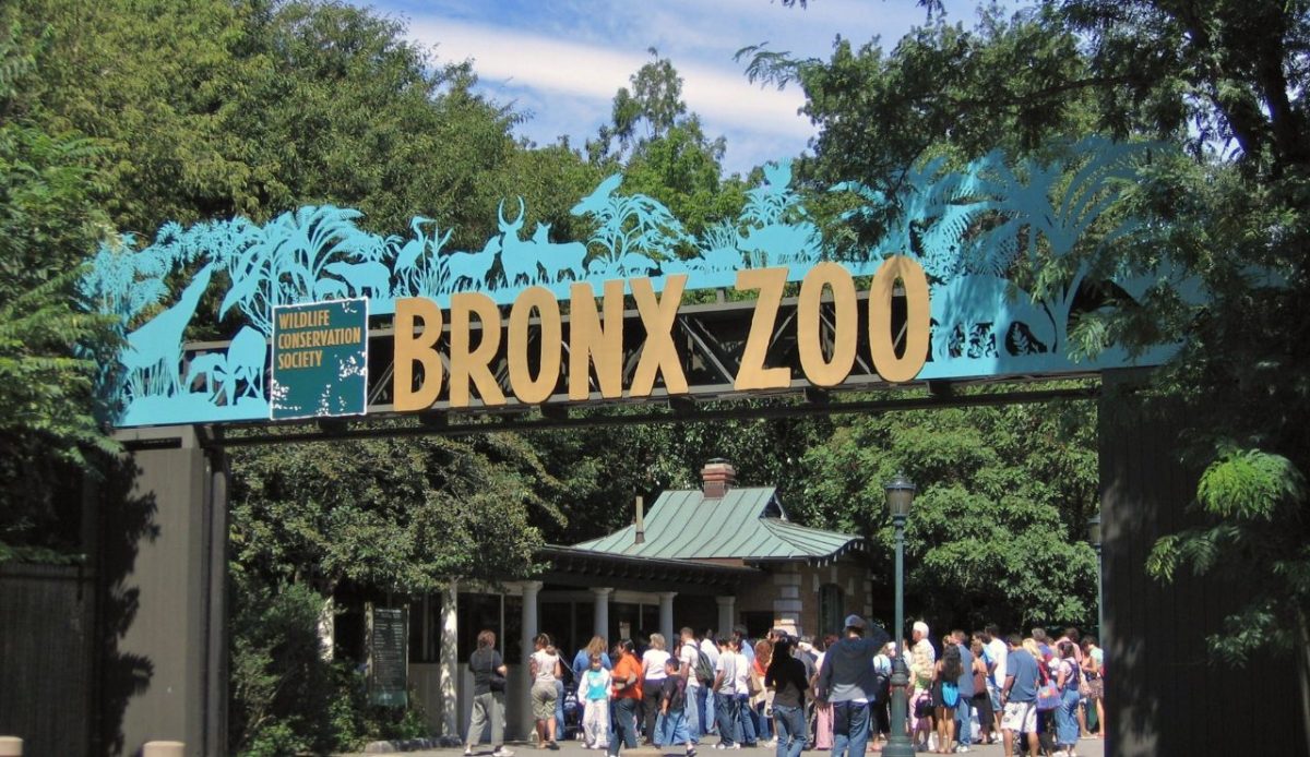 Visit the Bronx Zoo on Free Days