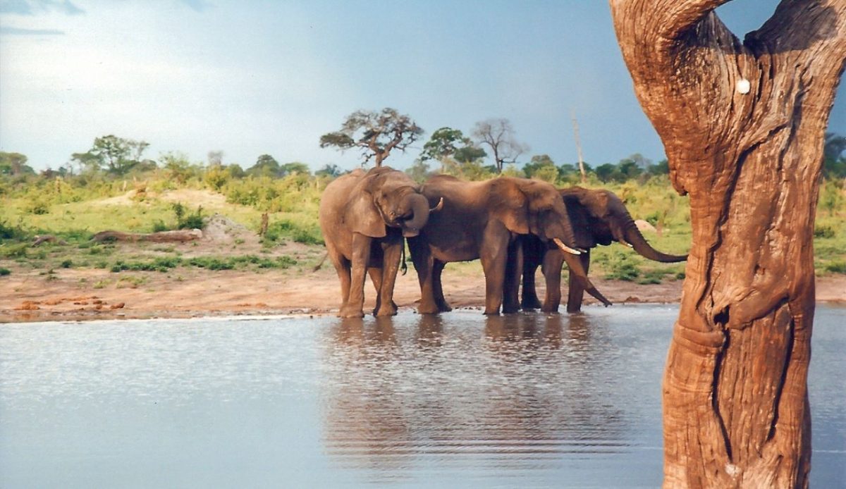 Hwange National Park