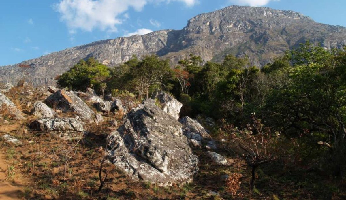 Eastern Highlands