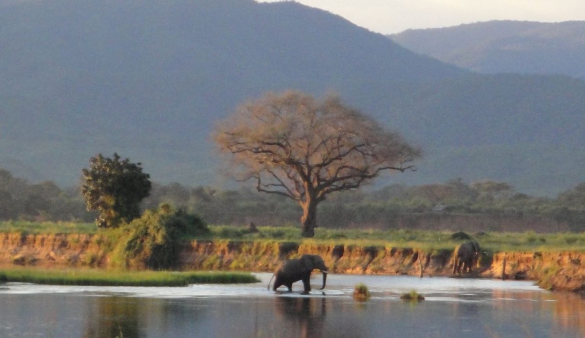 Mana Pools National Park