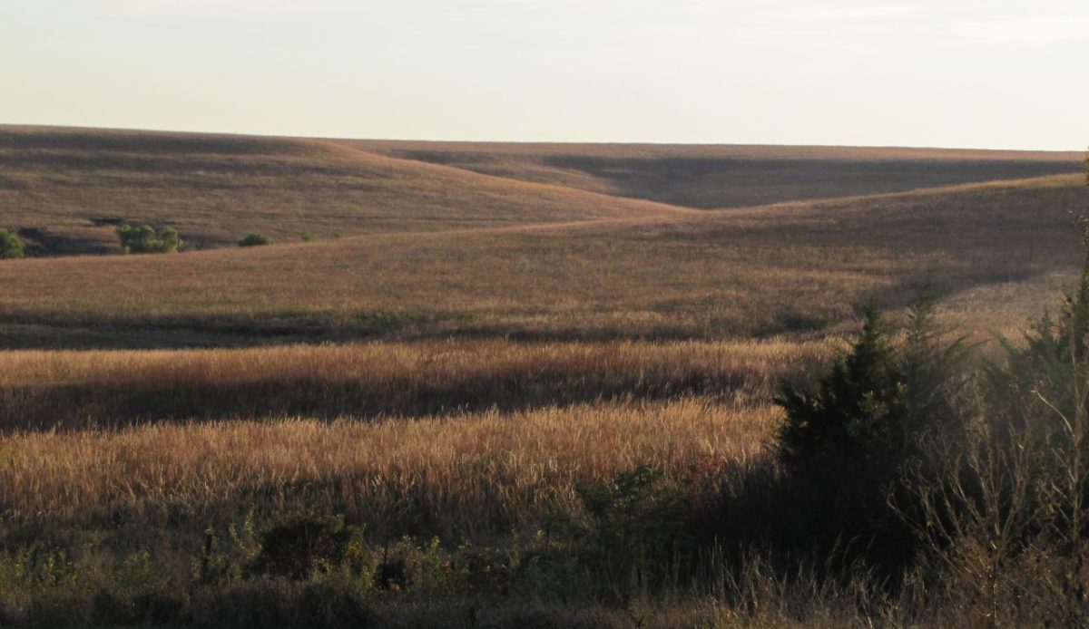 Tallgrass Prairie National Preserve