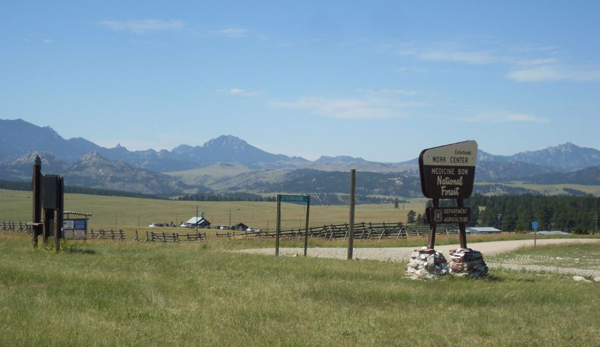 Medicine Bow National Forest