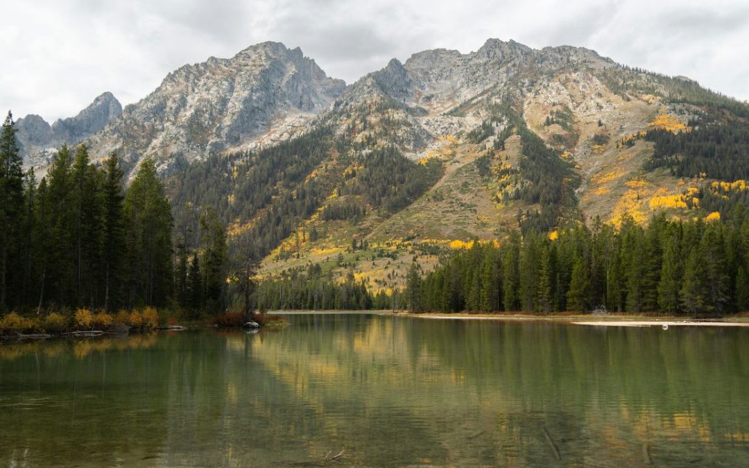 11 Scenic Wyoming Day Trips That Feel Bigger Than a Single Day