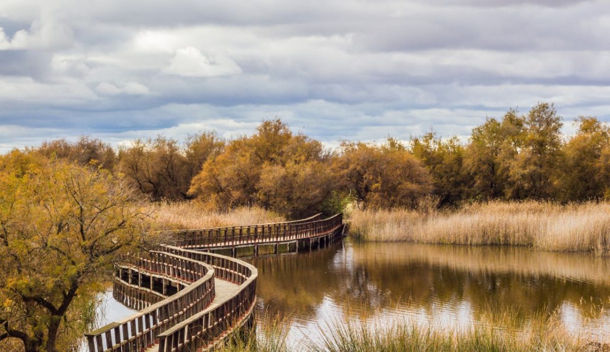 Tablas de Daimiel, Spain
