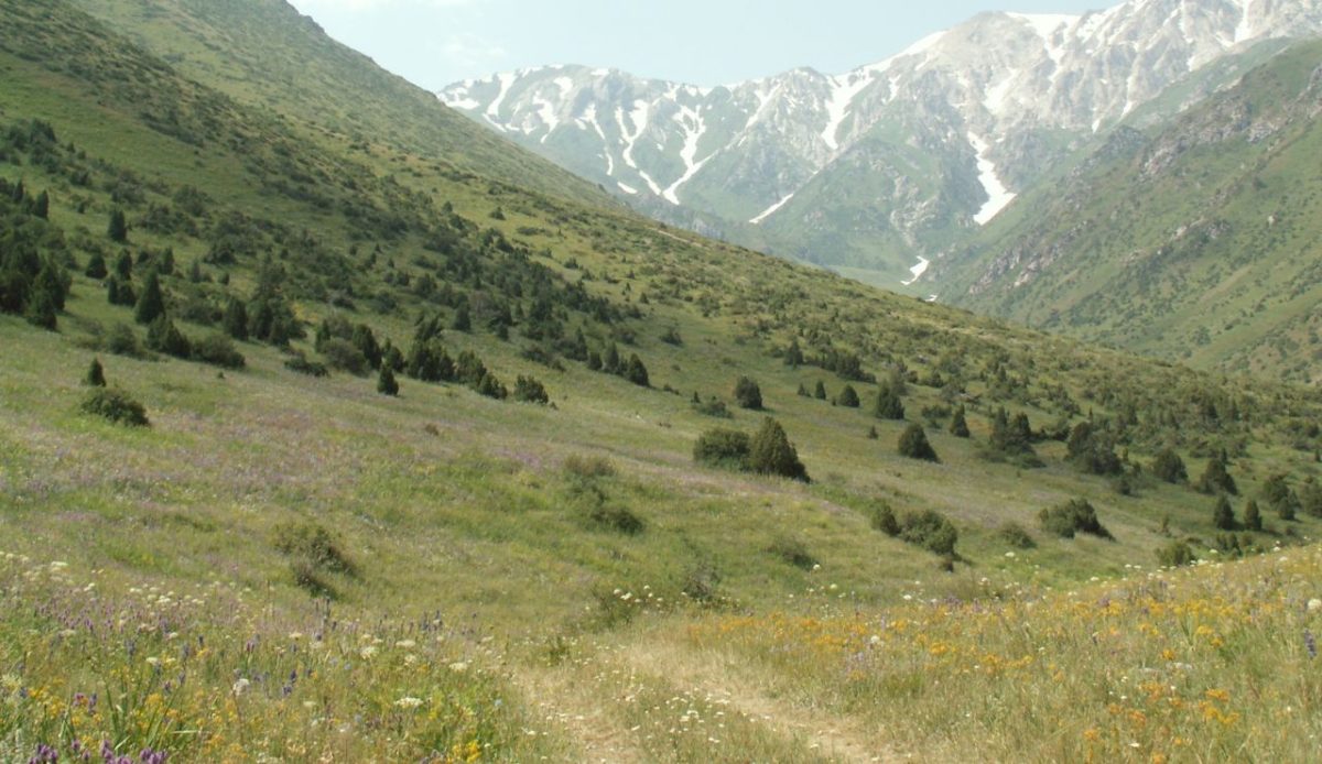 10 Best Stargazing Destinations in Central Asia 6