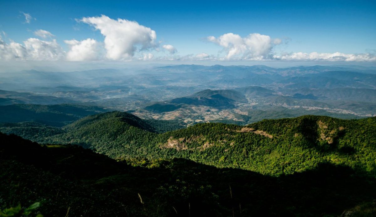 Thailand’s Northern Jungles