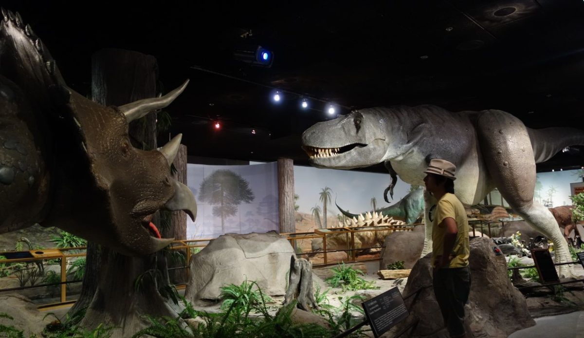 Discover Springs Preserve
