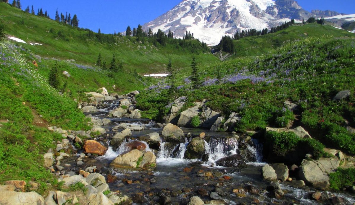 Mount Rainier National Park