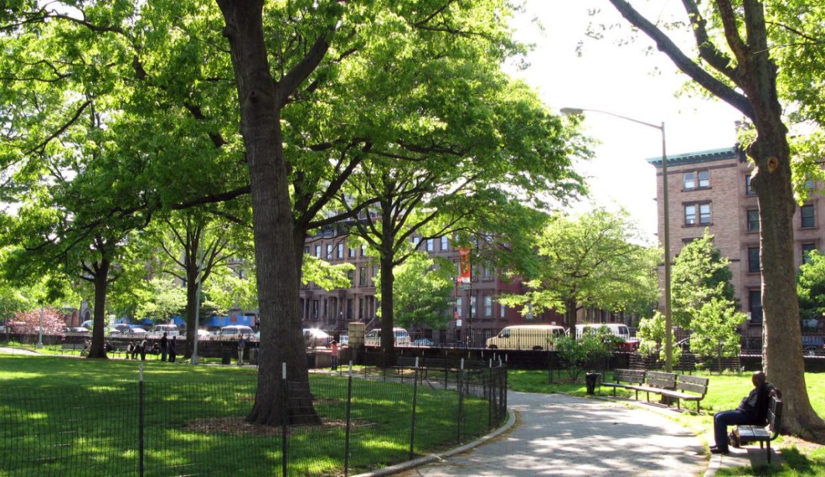 Relax in Marcus Garvey Park