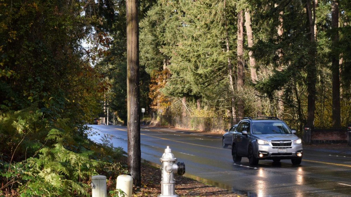 America’s most legendary road trip routes every driver should experience 6 Cars on road