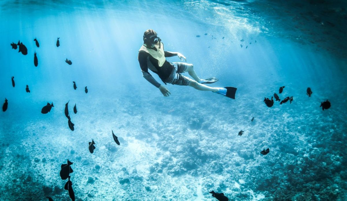 Ignoring Marine Conservation Rules