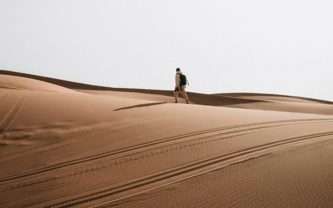 A Quiet National Park That Feels Like a Reset Button for the Mind