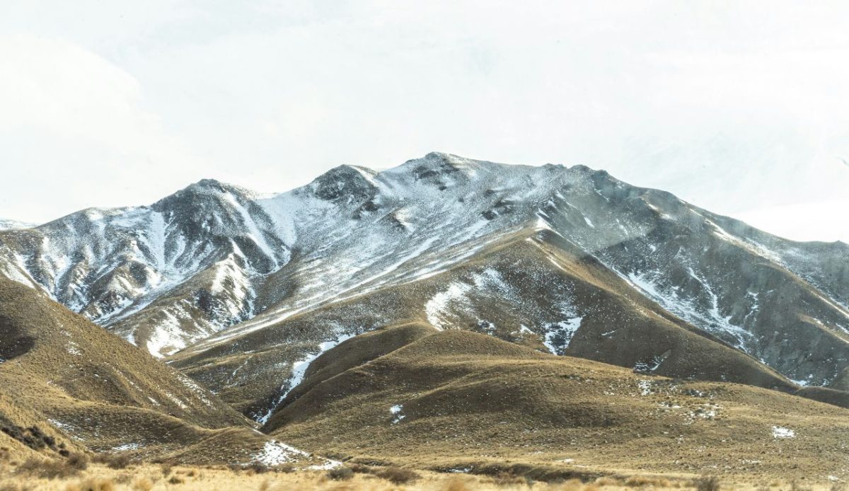 Hunting in New Zealand