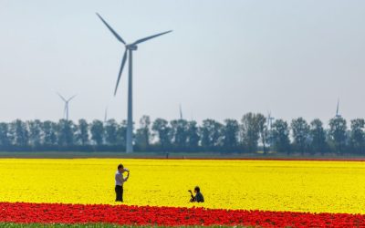 9 Netherlands Destinations Worth Visiting Beyond Amsterdam