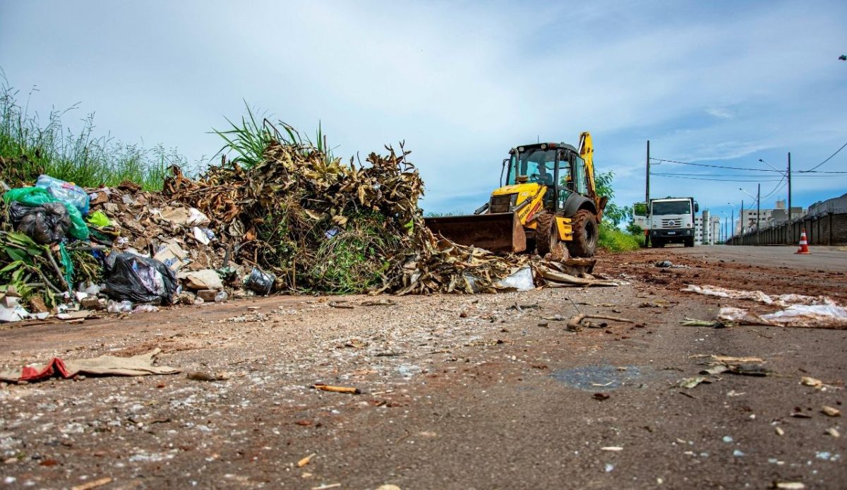 Urban Cleanup Operation in Londrina Streets, Brazil              