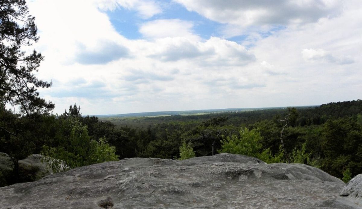 View of the Gorges de Franchard in the Forest of Fontainebleau                          