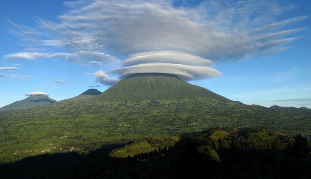 Volcanoes National Park, Rwanda                               
