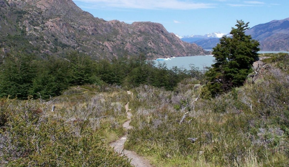 W Trek, Torres del Paine, Chile              
