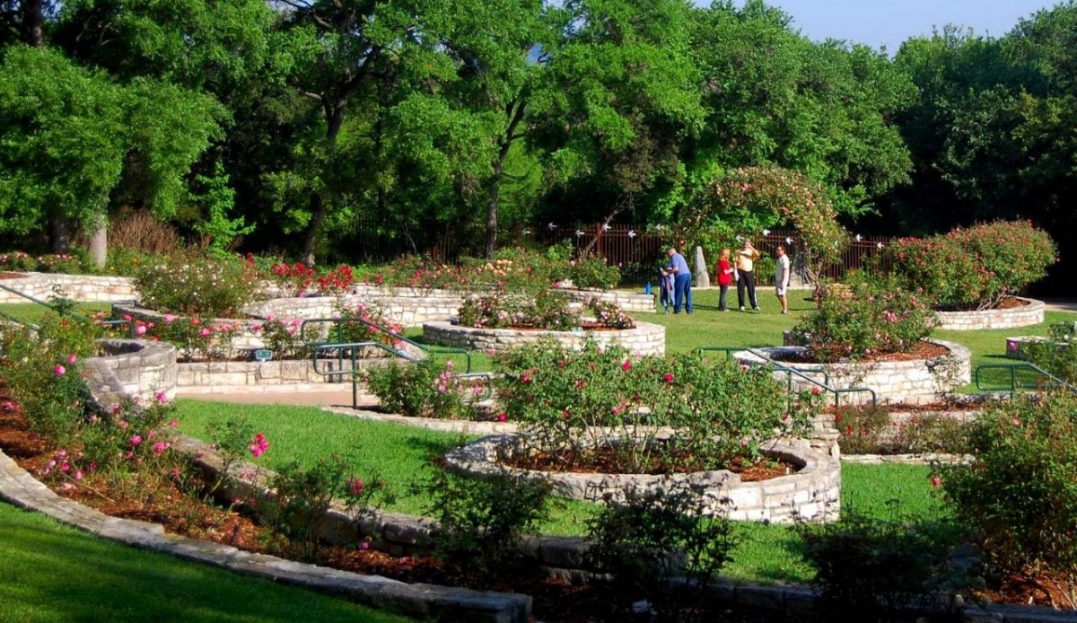 Zilker Park and Botanical Garden (Mabel Davis Rose Garden)                             