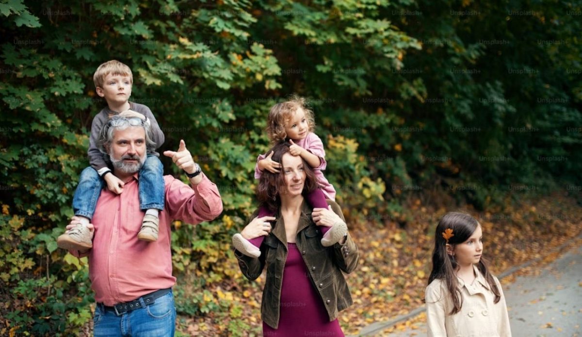 a family is on vaction passing through forest                          