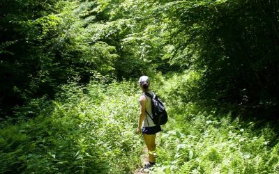 7 Smart Hiking Tips to Avoid Bugs and Wildlife Trouble