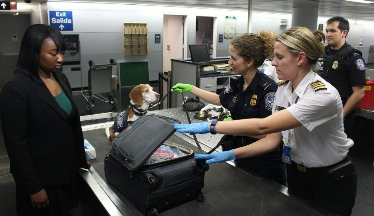 airport security checkpoint                      