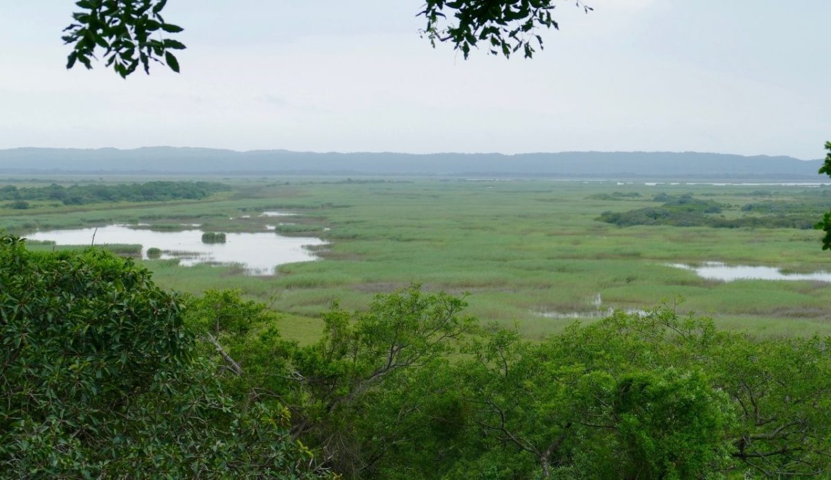 iSimangaliso Coastal Forest 4x4 Access                             