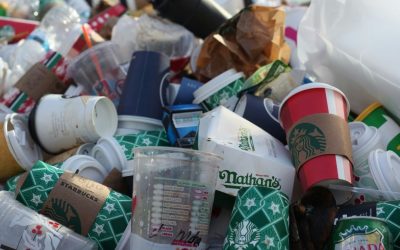 11 U.S. Cities That Generate the Most Trash Each Year